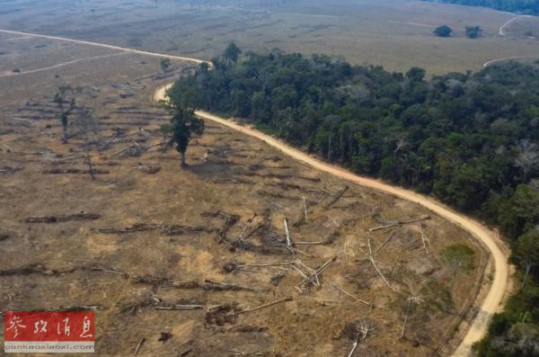  资料图片：巴西朗多尼亚州一处被毁的森林。（法新社）