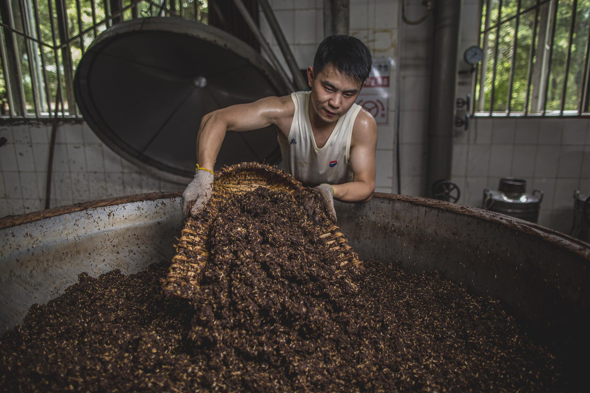 茅台呵护一江碧水酿造一壶佳酿