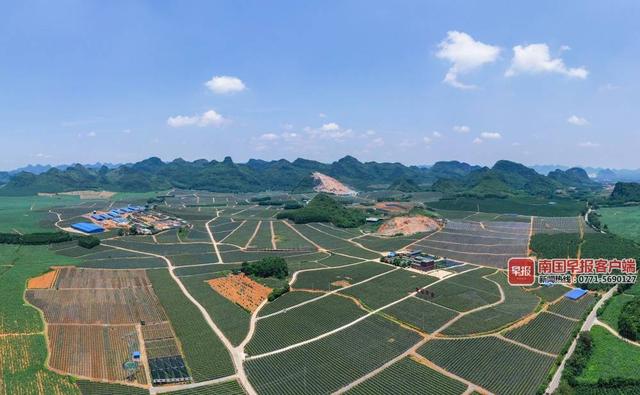 隆安县人口_王小东到隆安县调研:大力发展乡村特色产业持续促进脱贫人口稳定