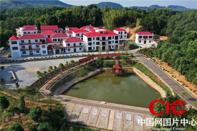 航拍江西芦溪县秀美乡村:红顶楼房 错落有致