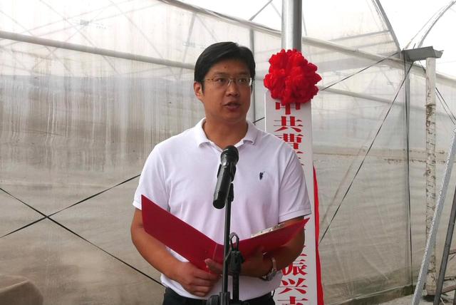 曹王镇隆重举行乡村振兴葡萄示范基地揭牌暨开园仪式|乡村振兴_新浪新