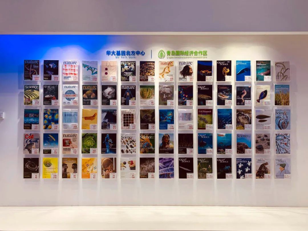 绿色荧光蛋白项目回顾 | 努力奔向大海