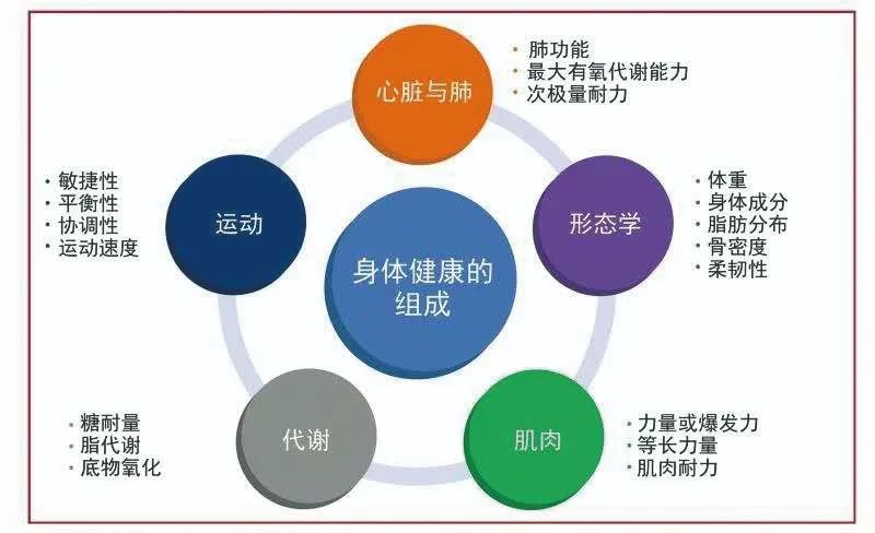 欧洲心脏病学会发布心血管病与运动指南,科学运动因人而异,你做对了吗