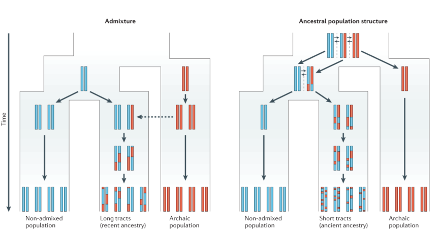 地球之水为何不渗入地心 水的循环奥秘大揭秘