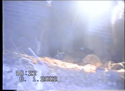 候某|山西警方破获30年前5岁女童被杀案，废弃窑洞藏尸