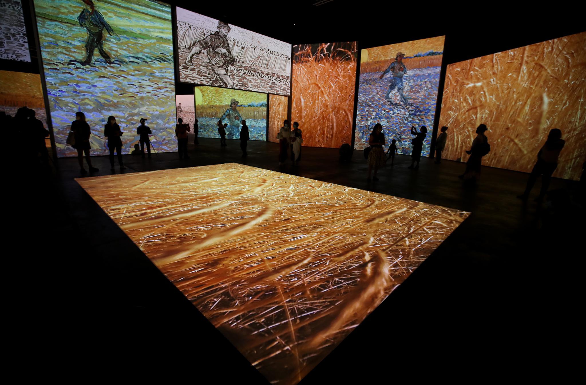 梵高沉浸式画展悉尼开幕