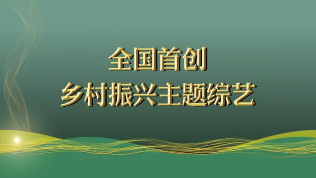 大视野综艺手段创新表达乡村振兴主题全国首档电视问政节目是如何做到
