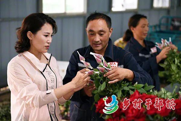 乡村影像 | 山东莒县:"玫瑰书记"的芬芳扶贫路
