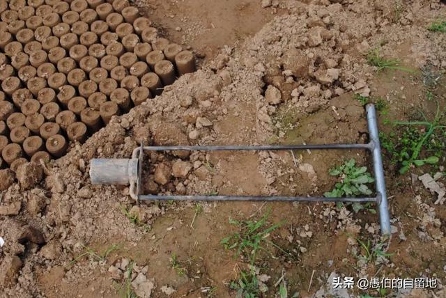 想起当年农村的"棉花专业队"