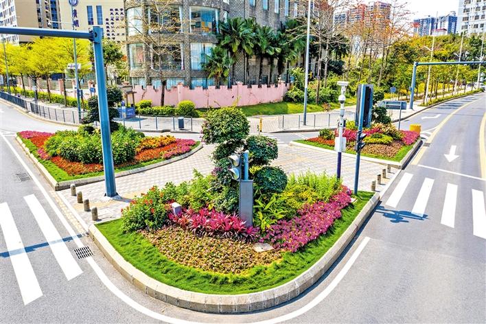 龙华大道与石清大道交会路口绿化提升.