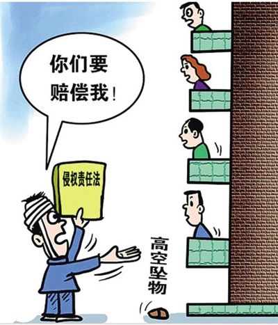 天降铁球砸死女婴整楼被判赔 专家 适用过错推定非纵容犯罪 手机新浪网