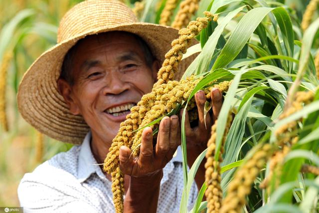 庆丰收迎小康 喜迎2020中国农民丰收节