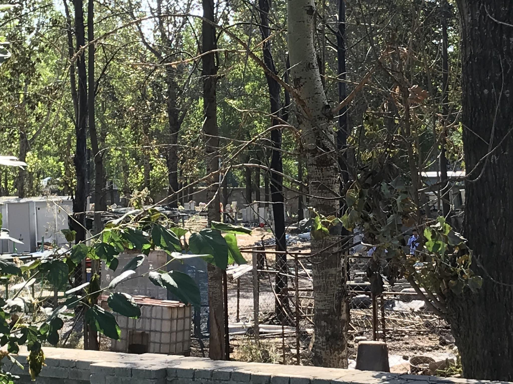 9月19日上午，事故现场多数液化气罐已被转移，部分树木被烧焦。新京报记者 张惠兰 摄