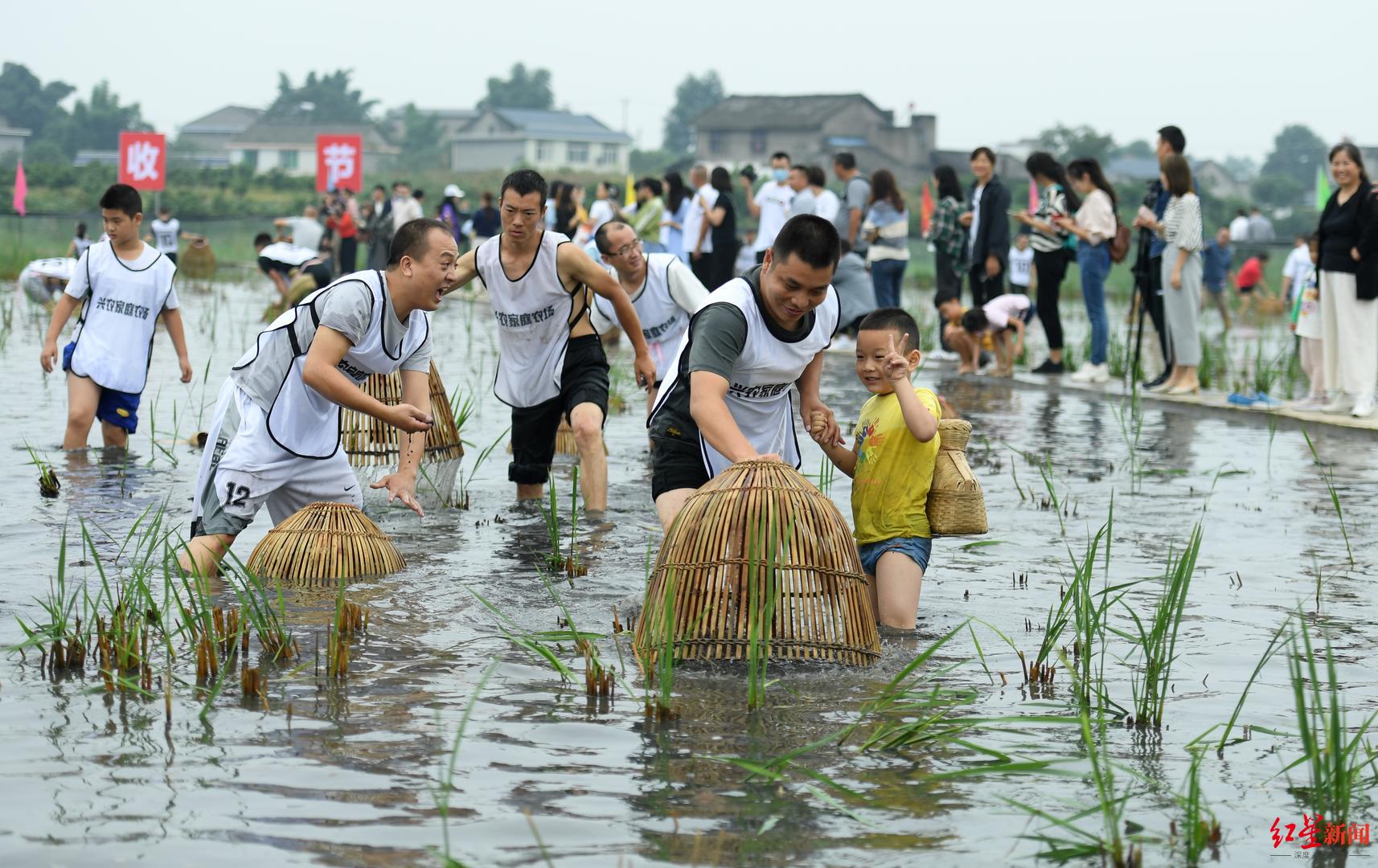 郑州家庭组团带娃浑水摸鱼 摸鱼高手两小时抓获20条大鲤鱼_活动