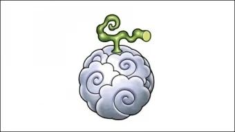 恶魔果实图片大全,第2颗就能难倒众人,普通海米最多能认识6个