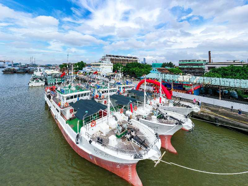 三艘金枪鱼延绳钓专业渔船正式交船,年捕捞产量预计超3000吨