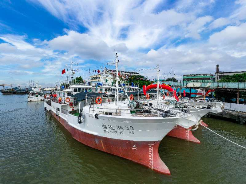 三艘金枪鱼延绳钓专业渔船正式交船,年捕捞产量预计超3000吨