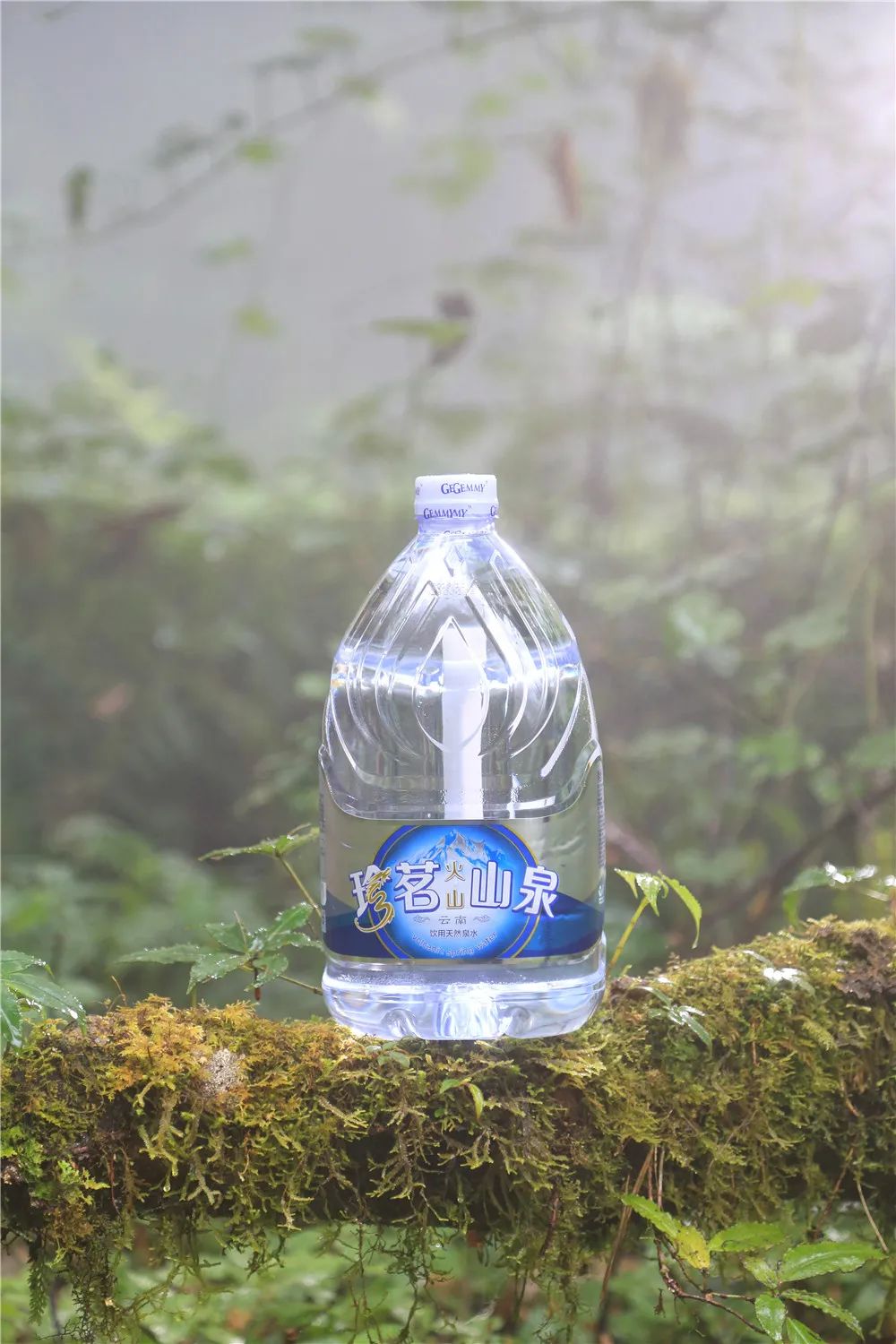 珍茗助力屏边脱贫攻坚让每一瓶珍茗水都有云南味道