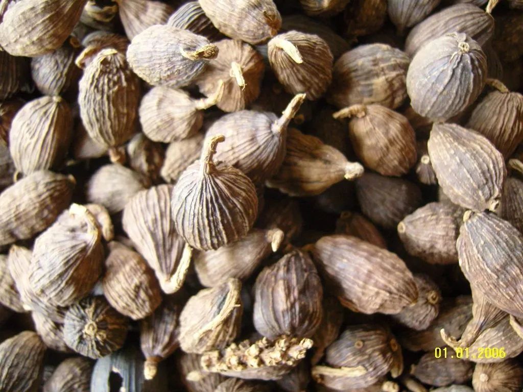 去口臭但需要提醒的是气虚或血亏患者忌食草果▲罂粟草果也是药食两用