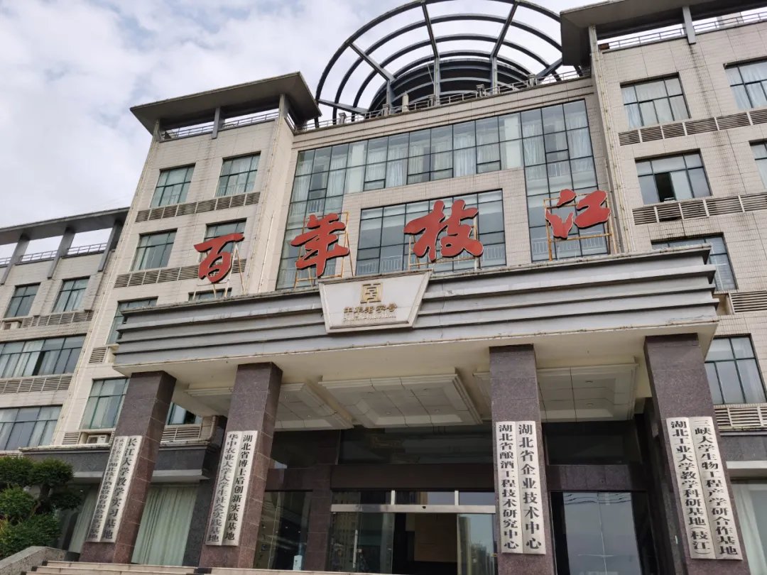 贵州醇董事长朱伟正式执掌枝江酒业拟推十条新政重振枝江酒