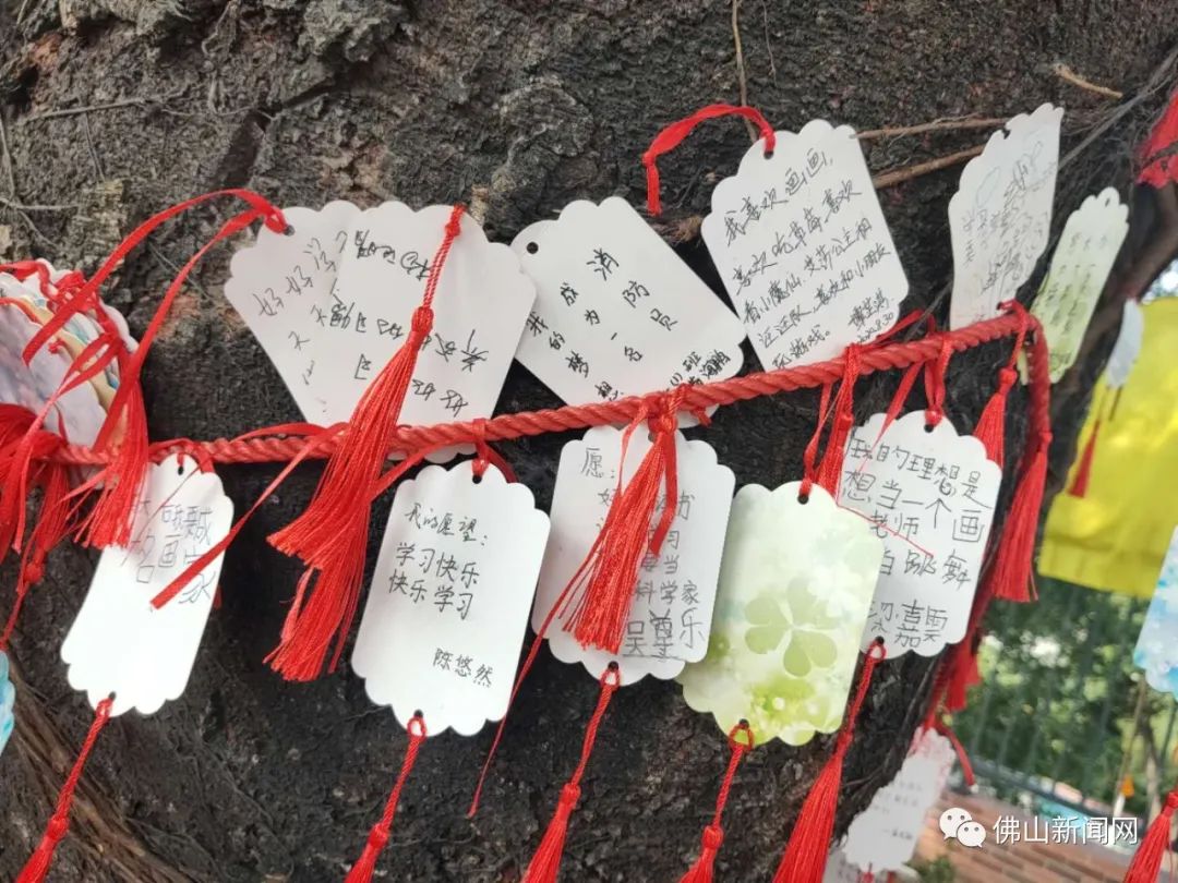佛山南海小学排名_佛山市南海区狮山镇横岗小学的个人展示页