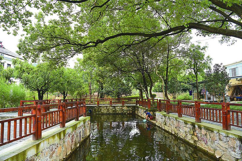 黄泥岭村人居环境优美.