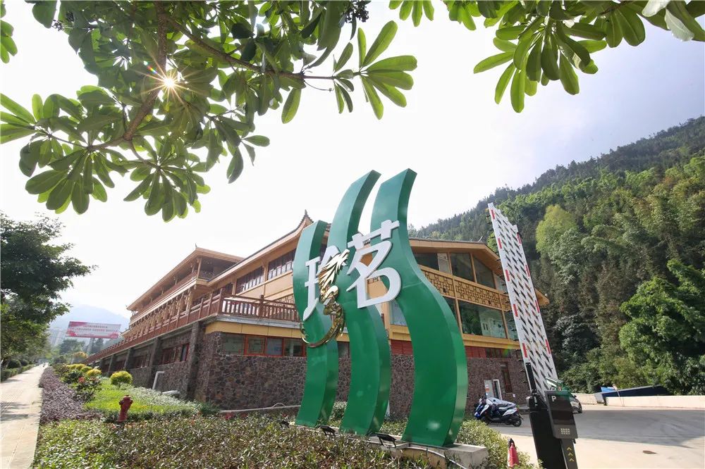 屏边百万年前形成的火山熔岩台地,为山泉的贮存创造了得天独厚的地质