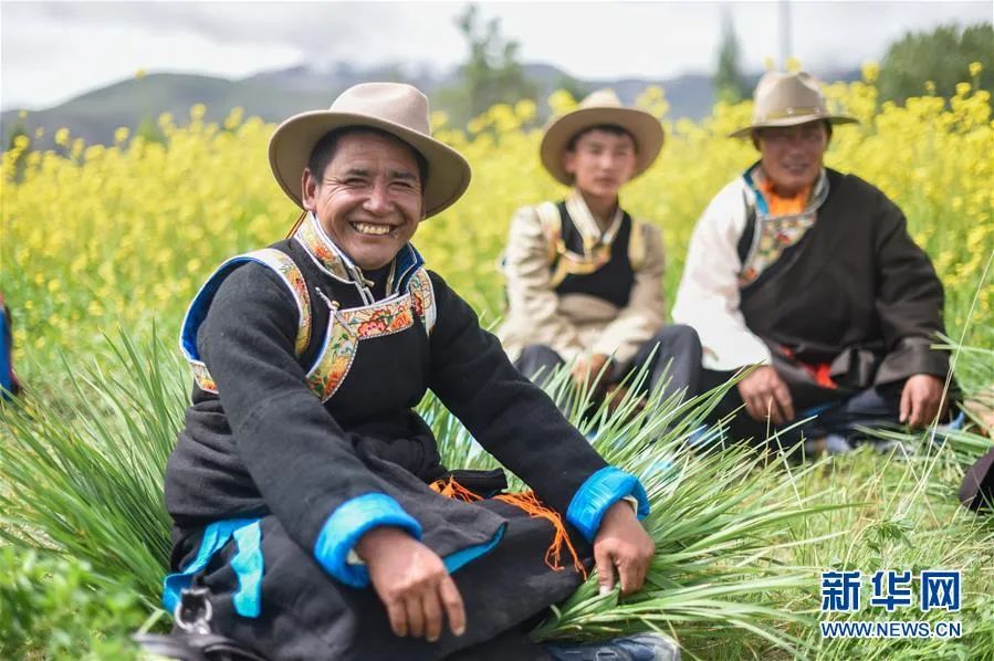 西藏山南隆子县隆子镇忙措村的农民（图源：新华社）