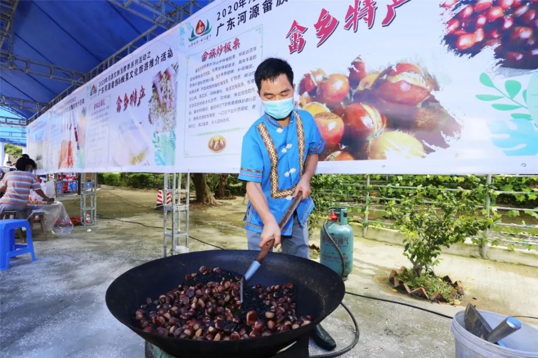 打板栗咯！河源板栗节开幕，一起赴美“栗”之约