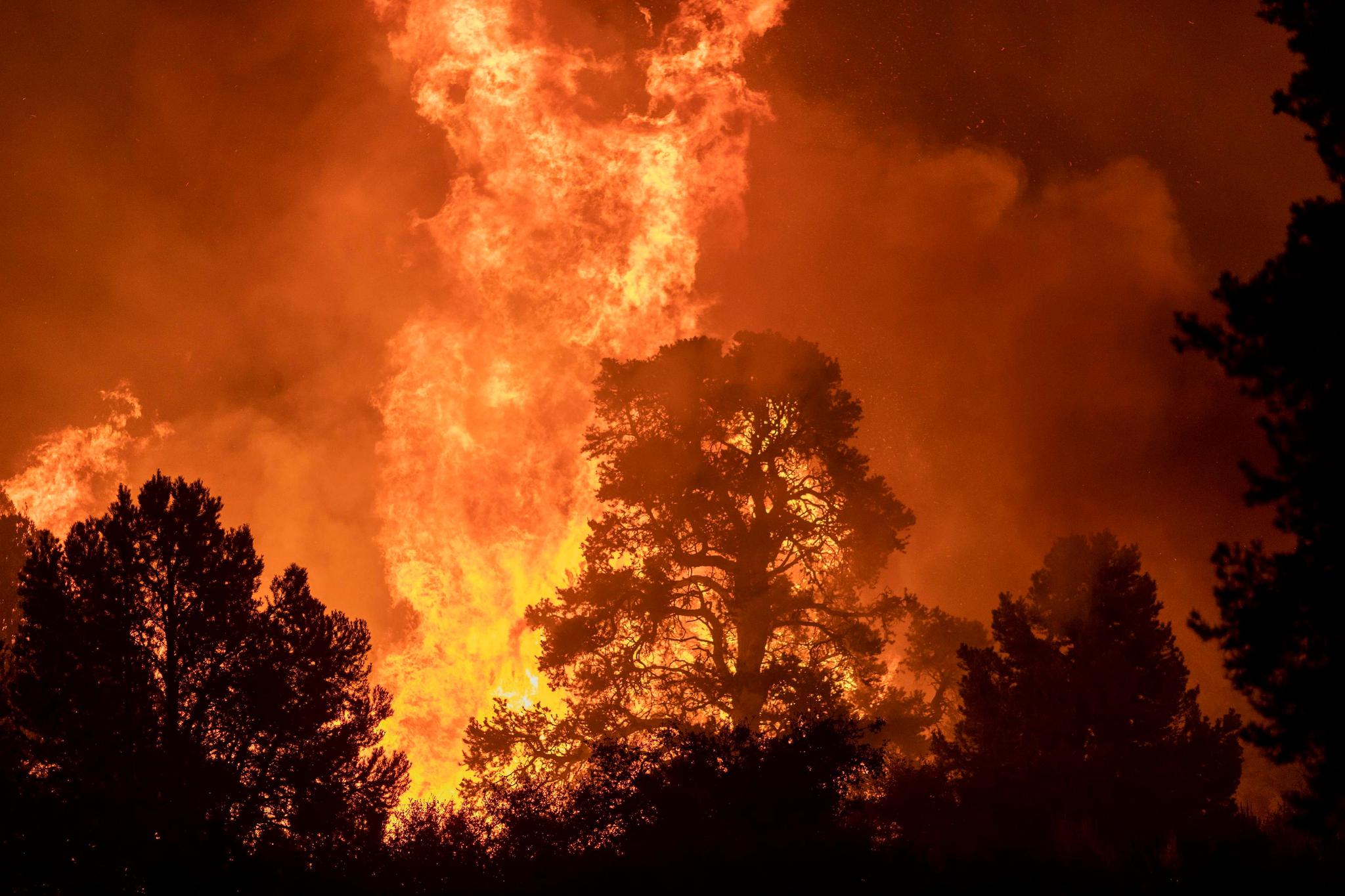 美国加州山火继续
