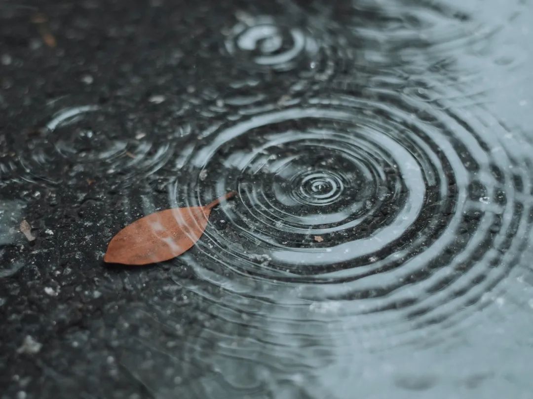 每一帧都是壁纸 雨中浙师竟美成这样 你那儿也下雨了吗 新浪新闻 每一帧都是壁纸 雨中浙师竟美成这样 你那儿也下雨了吗 新浪新闻