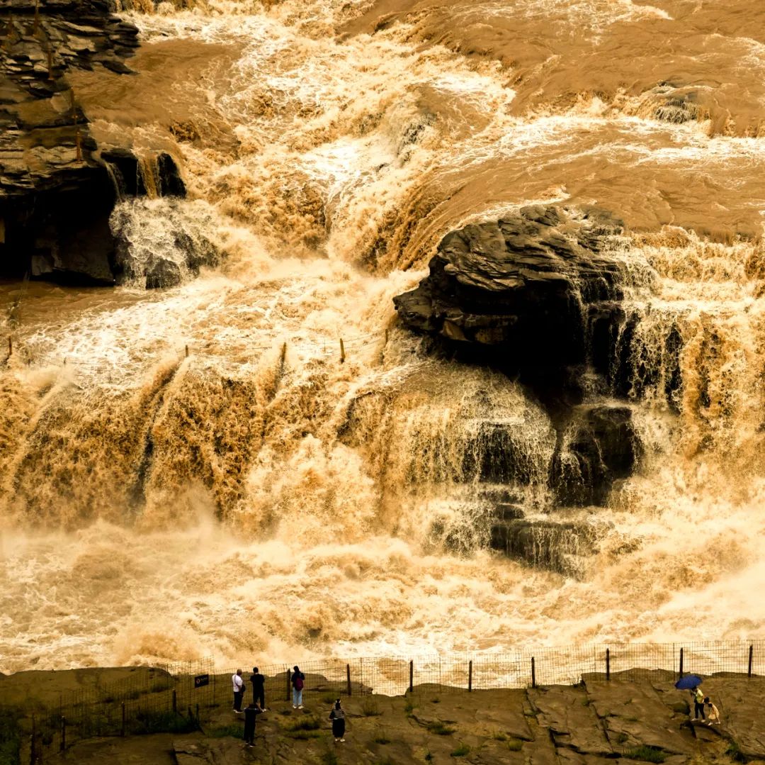 致敬黄河保护母亲河陕西多项工作全国第一