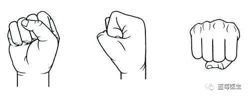 我们人类握拳时,拳头打击主要靠的是2,3掌指关节,2,3,4指的卷曲依托