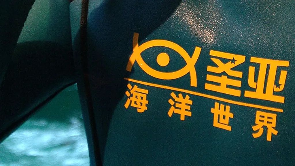 大连圣亚宫斗大戏惨烈收场？新欢与旧爱还藏着多少谜团