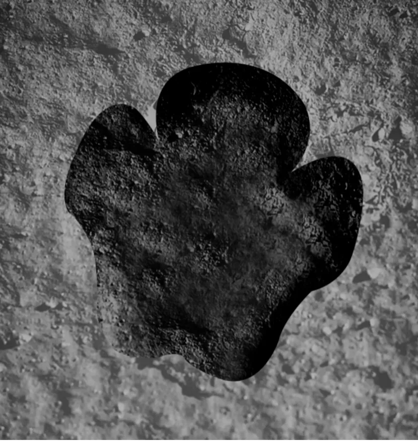 商城,菜鸟网络,神马搜索,蚂蚁金服,飞猪旅行,盒马鲜生,闲鱼考拉海购