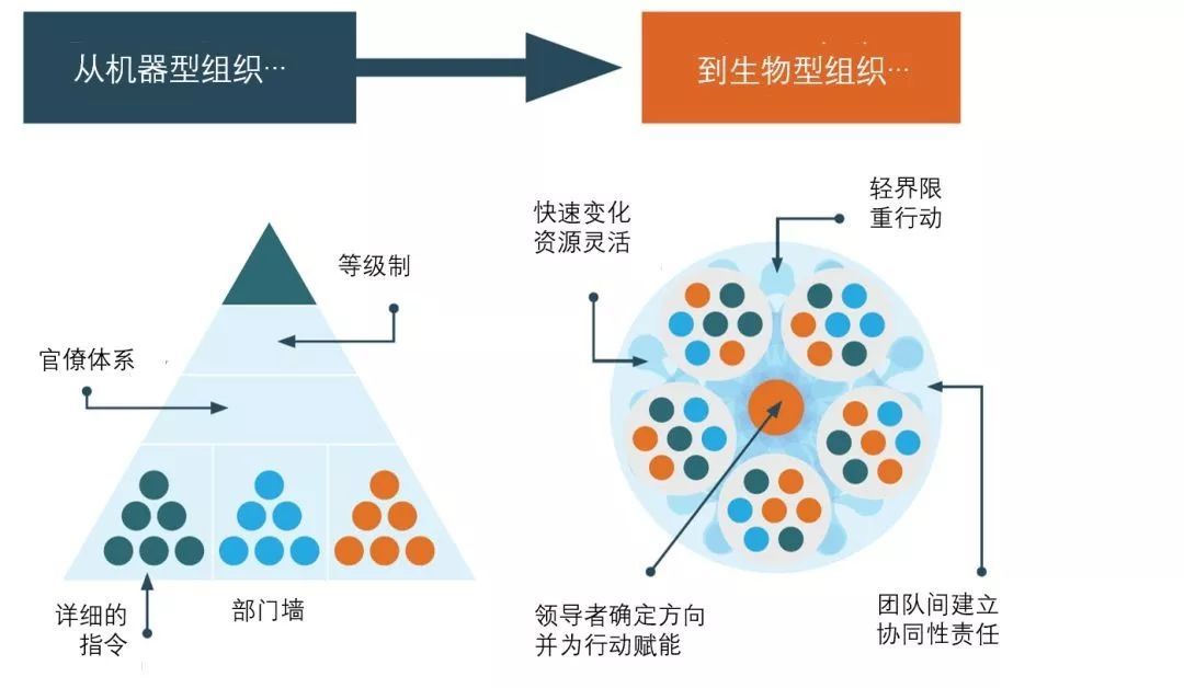 【组织架构】麦肯锡:敏捷组织的五大标志__财经头条
