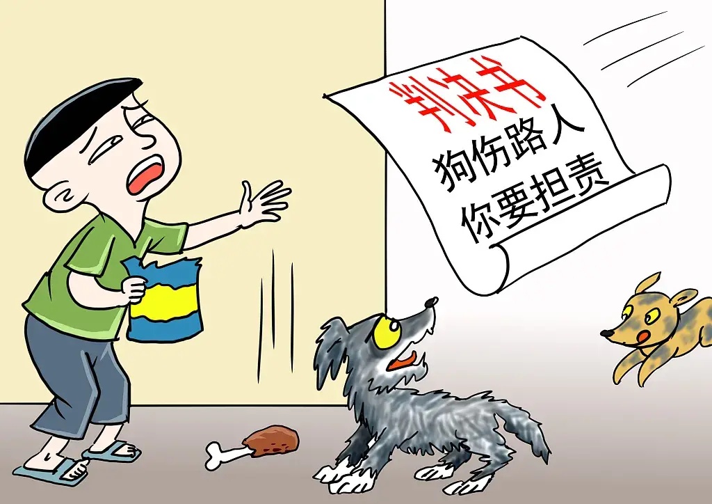 流浪狗咬人,谁负责?法官:喂养者须担责