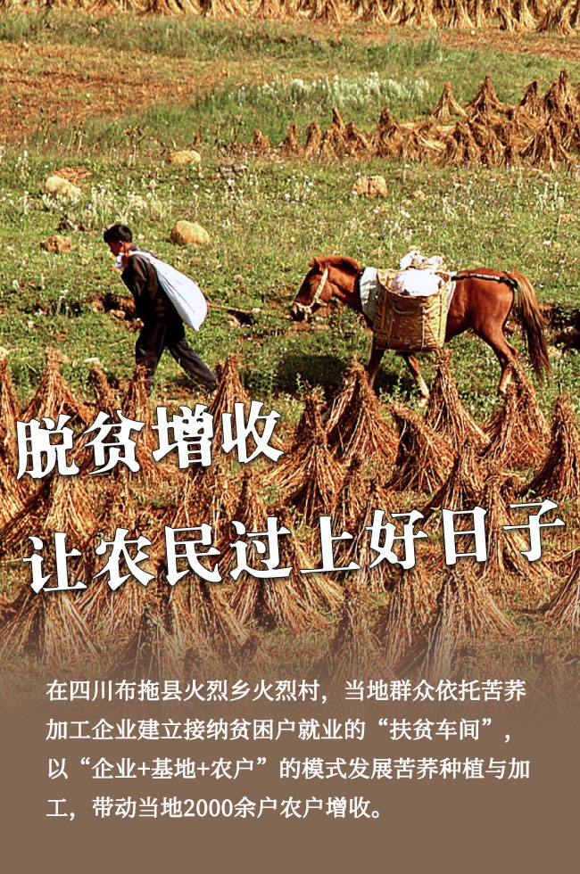 图说脱贫增收让农民过上好日子