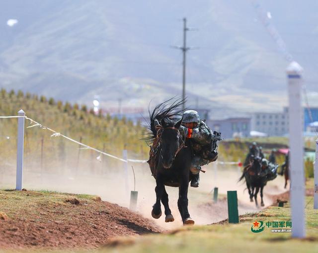 骑兵连进攻!实拍青藏高原骑兵连冲锋
