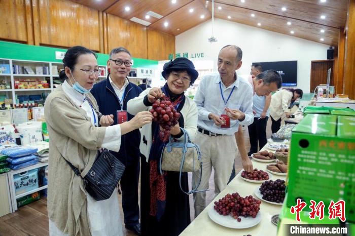 海外华文媒体走进四川南充 点赞西充产业高质量发展