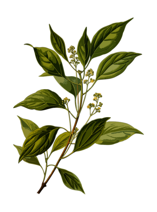 这些症状不要轻易尝试清凉油|清凉油|樟脑|薄荷油_新浪新闻