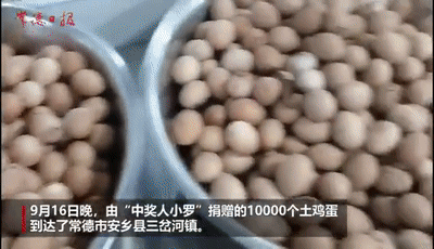 大学生中奖1.4万个鸡蛋，怎么吃？后续来了休闲区蓝鸢梦想 - Www.slyday.coM