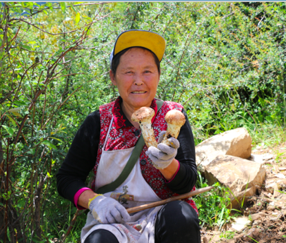 8个月完成183万场涉农直播 村主播6成为中老年