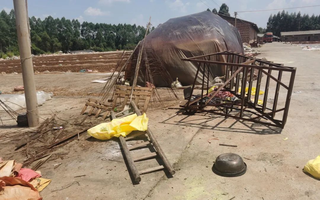 ▲晒场一角，有正在杀青的八角，地上是用完的硫磺袋子和熏制硫磺时用的铁盆。通常，晒场工人们会把硫磺放入铁盆中，再点燃，长期熏蒸的铁盆已经发黑。新京报记者 王瑞文摄