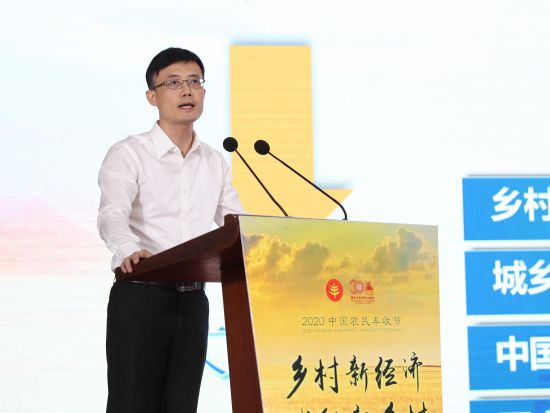 上海浦东探索乡村振兴:乡村新经济如何赋能新乡村