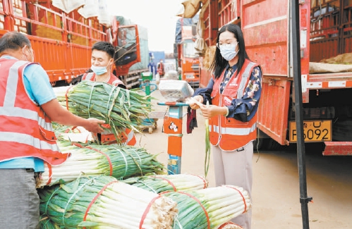 新发地托稳首都“菜篮子” 供应量稳定在过去六至七成