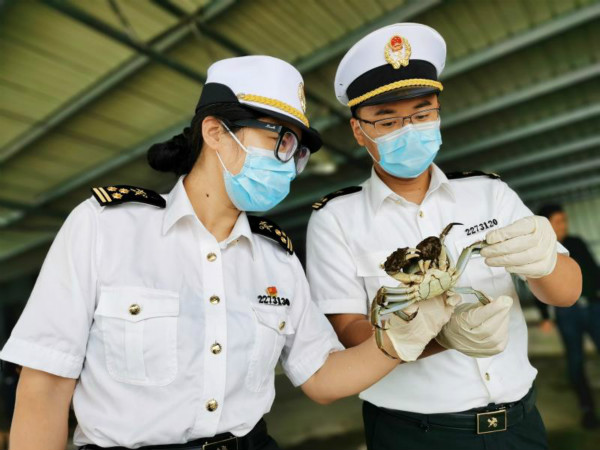 图说:全部项目检测合格后,海关予以通关放行. 上海海关供图