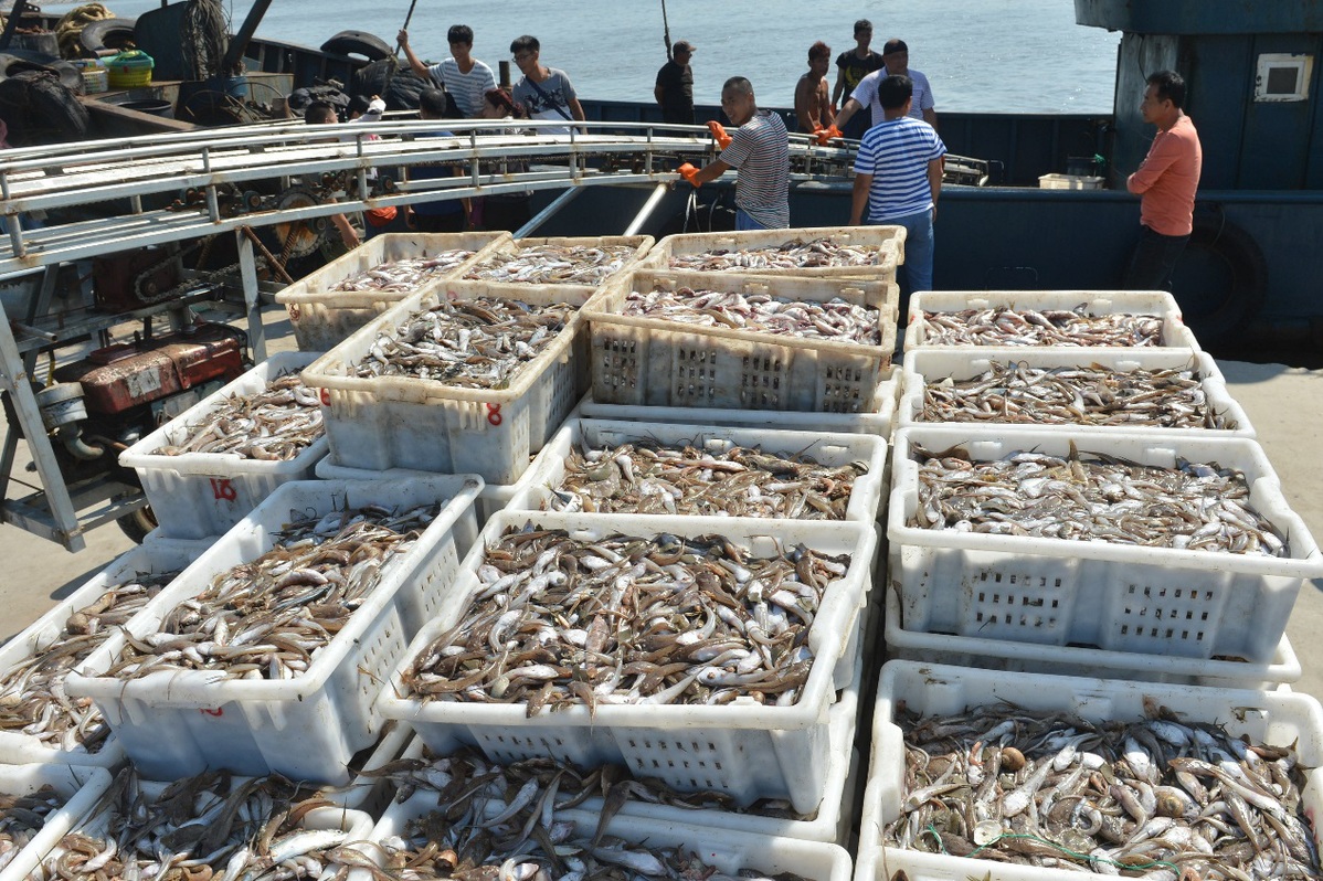 鲜灵东港海鲜大餐庆丰收