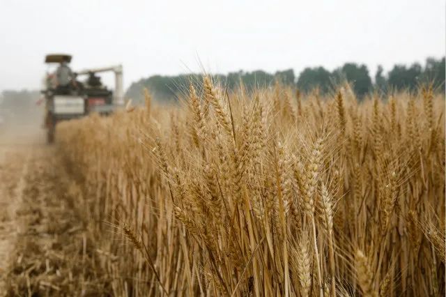 数万亿卖地钱怎么花？相关改革文件将出，农业农村迎利好