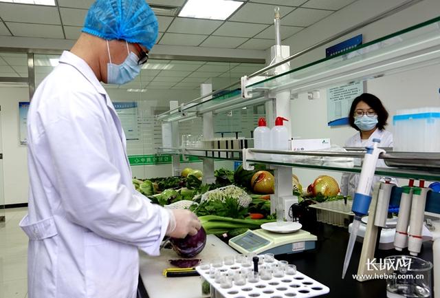 河北新发地食品安全检测中心工作人员正在检测当天的果蔬.